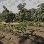 度假居 El Paso De Cigueenas