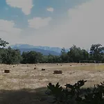 El Paso De Cigueenas