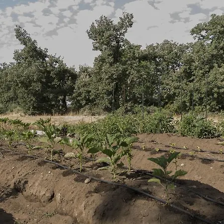 度假居 El Paso De Cigueenas