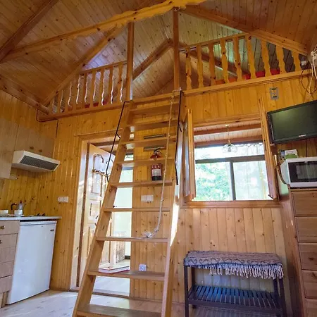 El Paso De Cigueenas *