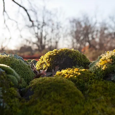 El Paso De Cigueenas 度假居
