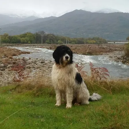 El Paso De Cigueenas 坎德莱达