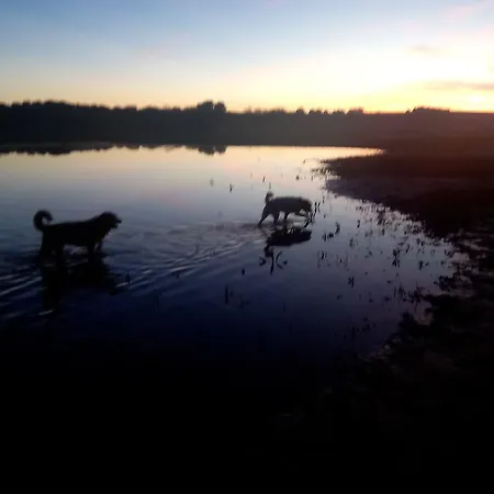 度假居 El Paso De Cigueenas *