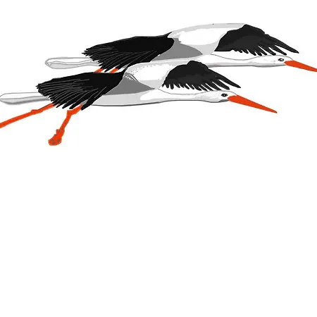 El Paso De Cigueenas * 坎德莱达