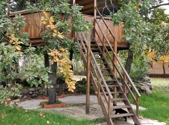 펜션 El Paso De Cigueenas