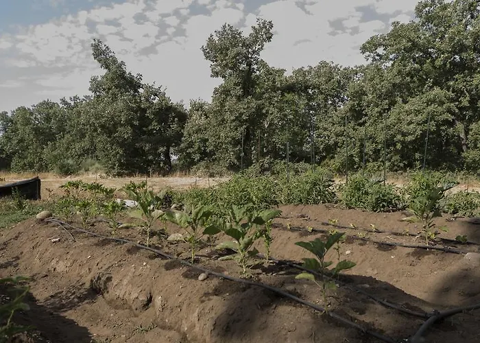 펜션 El Paso De Cigueenas