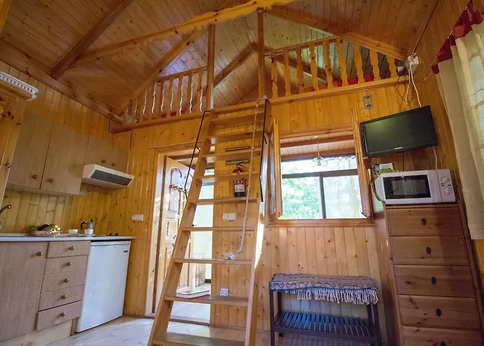 El Paso De Cigueenas *