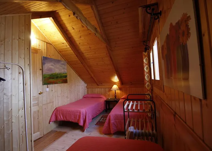 El Paso De Cigueenas *