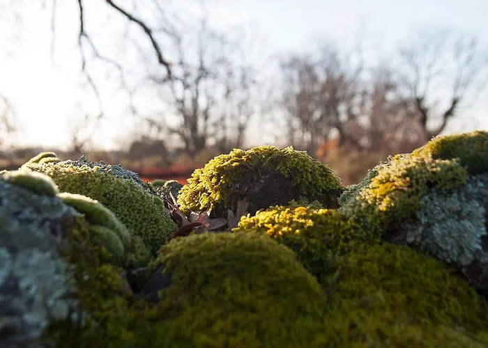 El Paso De Cigueenas 펜션