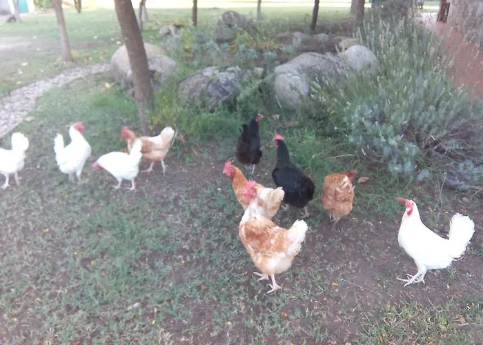 펜션 El Paso De Cigueenas *