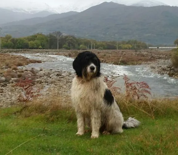 El Paso De Cigueenas 칸델레다