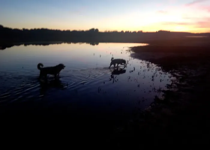 펜션 El Paso De Cigueenas *