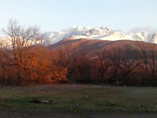 El Paso De Cigueenas *